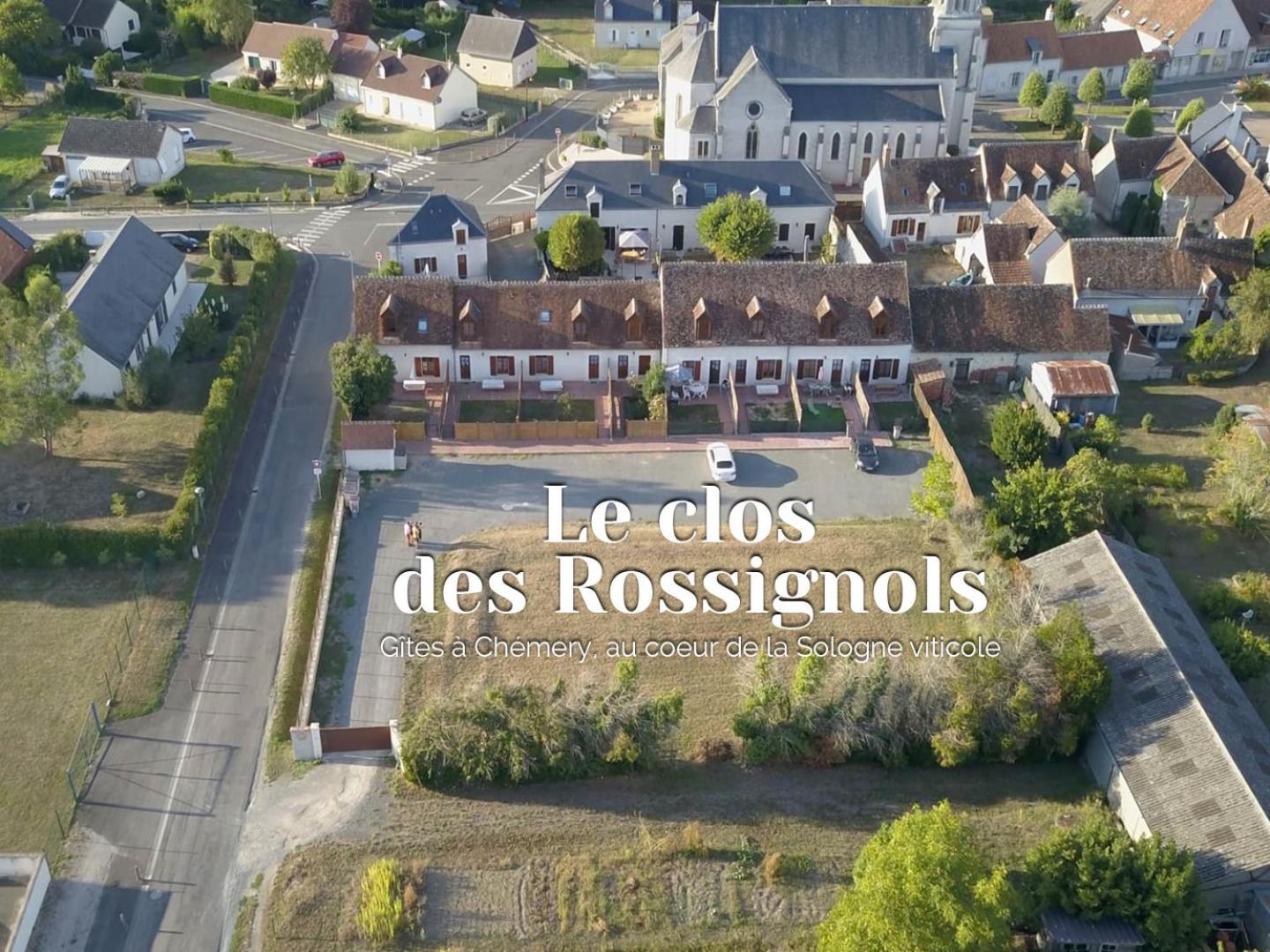 Вилла Les Terrasses Des Rossignols Chemery Экстерьер фото